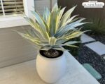 SUNPRAIRIE 32 Inch Tall Large Faux Agave Plant with Two-Tone Sawtooth Edged Leav... - Image 6