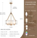 Gold Glass Chandelier for Dining Room Light Fixture, 19.69" Modern Drum Chandeli... - Image 3