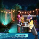 iYogaled Brass RGB Landscape Lighting Fixture，Adjustable Color Changing Low Volt... - Image 5