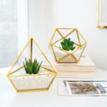 Mkono Artificial Succulent in 3 Pack Mini Glass Geometric Terrarium, Miniature P... - Image 3