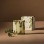 Thymes Frasier Fir Pine Needle Candle – Holiday Candles for Home Scented with No... - Image 3