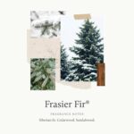 Thymes Frasier Fir Pine Needle Candle – Holiday Candles for Home Scented with No... - Image 4