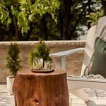 Thymes Frasier Fir Pine Needle Candle – Holiday Candles for Home Scented with No... - Image 7