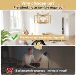 25" Modern Gold Chandelier for Dining Room, No Assembly Required Gold Dining Roo... - Image 4