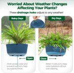 T4U 12 Inch Large Hanging Planters for Outdoor Plants, 2 Pack Self Watering Pots... - Image 5