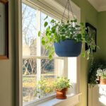 T4U 12 Inch Large Hanging Planters for Outdoor Plants, 2 Pack Self Watering Pots... - Image 6