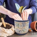 DeeCoo 3 Piece Ceramic Plant pots Indoor Pots Set with Drainage Holes, 5.7/4.7/3... - Image 4