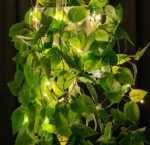 Comtelek Macrame Plant Hanger with Lights Indoor Hanging Planter Basket with Woo... - Image 8