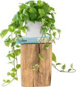 ROVALA Silk Plants for Home Decor Indoor in Pot Realistic Artificial Plants Fake... - Image 2