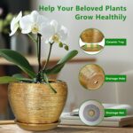 Ceramicfor Indoor Plant Pot 6 Inch - Ceramic Pot for Plants Outdoor Planter with... - Image 6