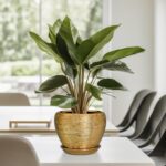 Ceramicfor Indoor Plant Pot 6 Inch - Ceramic Pot for Plants Outdoor Planter with... - Image 7