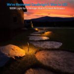 LEONLITE Update 5CCT Low Voltage Pathway Lights, LED Landscape Path Lights, 1800... - Image 3