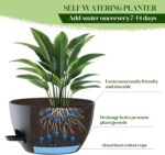 2 Pack 10 Inch Self Watering Hanging Planters for Indoor Plants, Large Black Pla... - Image 6