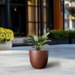 Kante 14 Inch Dia Round Concrete Planter, Indoor Outdoor Large Plant Pot with Dr... - Image 5