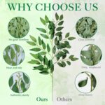 Fake Leaves(24pack) Faux Greenery Stems,Silk Greenery,Artificial Tree Branches,f... - Image 5