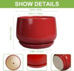 G EPGardening Ceramic Pot for Plants - 6 Inch Plant Pot with Drainage and Cerami... - Image 4