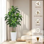 6FT Artificial Dracaena Tree, Fake Tree Indoor with White Tall Planter,Tall Arti... - Image 3