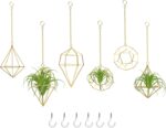 Gold Hanging Air Plants Holders Small Tillandsia Airplants Hangers 6 Pack Geomet... - Image 5