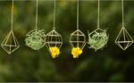 Gold Hanging Air Plants Holders Small Tillandsia Airplants Hangers 6 Pack Geomet... - Image 7