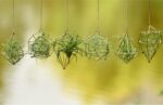 Gold Hanging Air Plants Holders Small Tillandsia Airplants Hangers 6 Pack Geomet... - Image 8