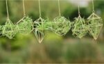 Gold Hanging Air Plants Holders Small Tillandsia Airplants Hangers 6 Pack Geomet... - Image 9