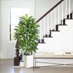 Artificial Dracaena Tree - 5FT Tall Fake Plants with White Tall Planter - Artifi... - Image 3