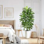 Artificial Dracaena Tree - 5FT Tall Fake Plants with White Tall Planter - Artifi... - Image 5
