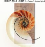 ACODE 14 Inches Fibonacci Curve Rectangular Wall Clock, Walnut Wall Clock Batter... - Image 3