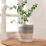 5 Inch Plant Pot, Ceramic Pots for Plants with Drainage Hole and Saucer Marble F... - Image 6