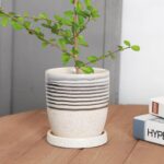 5 Inch Plant Pot, Ceramic Pots for Plants with Drainage Hole and Saucer Marble F... - Image 7