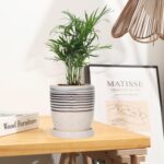 5 Inch Plant Pot, Ceramic Pots for Plants with Drainage Hole and Saucer Marble F... - Image 9