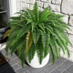 2PCS 45in Fake Ferns- Large Artificial Plants Outdoor, UV Resistant Artificial F... - Image 3
