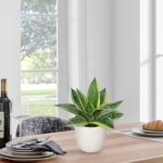 Hollyone Artificial Snake Plants 9" Faux Agave Succulent Plant Potted in White P... - Image 4