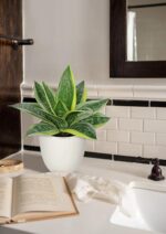Hollyone Artificial Snake Plants 9" Faux Agave Succulent Plant Potted in White P... - Image 7