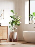 LE TAUCI 12 Inch Plant Pot with Acacia Wood Stand, Ceramic Large Planters for In... - Image 3