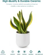 vancasso 6 Inch Ceramic Plant Pots, Planters with Drainage Hole, Flower Pots Pla... - Image 5