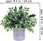 Set of 3 Assorted Small Potted Plants Fake Eucalyptus and Rosemary Plants in Gra... - Image 3