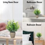 FAVOWREATH 2 Pack Fake Plants Ceramic Mini Artificial Greenery Potted Plants for... - Image 4