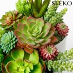 Succulents Plants Artificial 14 Pcs Realistic Premium Fake Succulents Faux for I... - Image 3