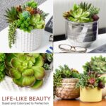 Succulents Plants Artificial 14 Pcs Realistic Premium Fake Succulents Faux for I... - Image 4