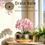 9.8'' Phalaenopsis Orchid Pots with Drainage Holes–Hammered Decorative Flower Po... - Image 3
