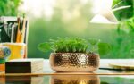 9.8'' Phalaenopsis Orchid Pots with Drainage Holes–Hammered Decorative Flower Po... - Image 4