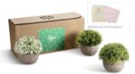 Opps Artificial Plastic Mini Plants Unique Fake Fresh Green Grass Flower in Gray... - Image 3