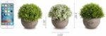 Opps Artificial Plastic Mini Plants Unique Fake Fresh Green Grass Flower in Gray... - Image 4