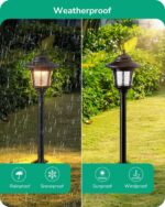 EDISHINE Low Voltage Landscape Lighting, 12V 3W 120LM 3000K Seed Glass Outdoor L... - Image 5