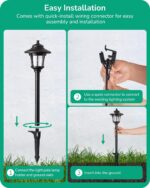 EDISHINE Low Voltage Landscape Lighting, 12V 3W 120LM 3000K Seed Glass Outdoor L... - Image 6