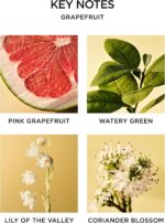 NEST New York Scented 3-Wick Candle, Grapefruit - 21.2 oz - Up to 100-Hour Burn ... - Image 5