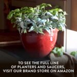 The HC Companies 12 Inch Pizzazz Round Planter Pots with Ceramic Look, Lightweig... - Image 7