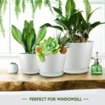 Utopia Home Plant Pots Indoor with Drainage Holes – Set of 5 White Plastic Flowe... - Image 7
