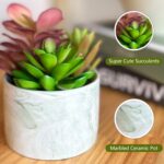Artificial Plants Cute Colourful Succulents in Ceramic Planter Fake Plant Flower... - Image 3